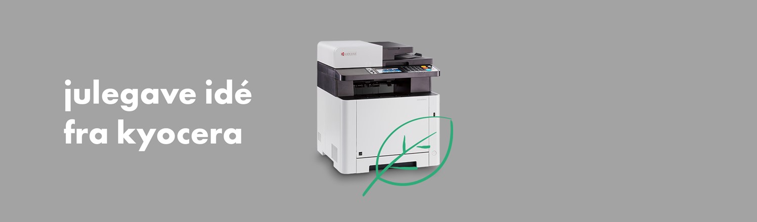 julen står for døren – og julegaverne skal købes