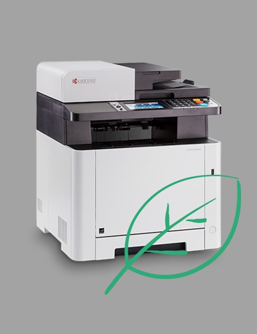 julen står for døren – og julegaverne skal købes